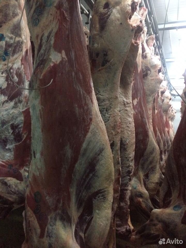 Мясокомбинат реализует мясо говядины(бык молодняк) купить на Зозу.ру - фотография № 2