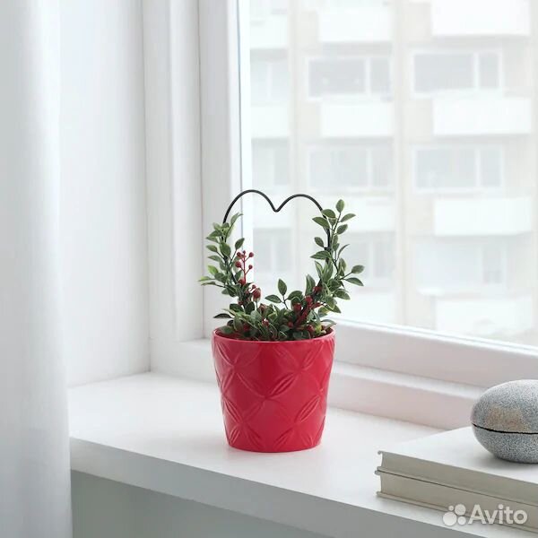Искусственное растение в горшке, мирт IKEA купить на Зозу.ру - фотография № 3