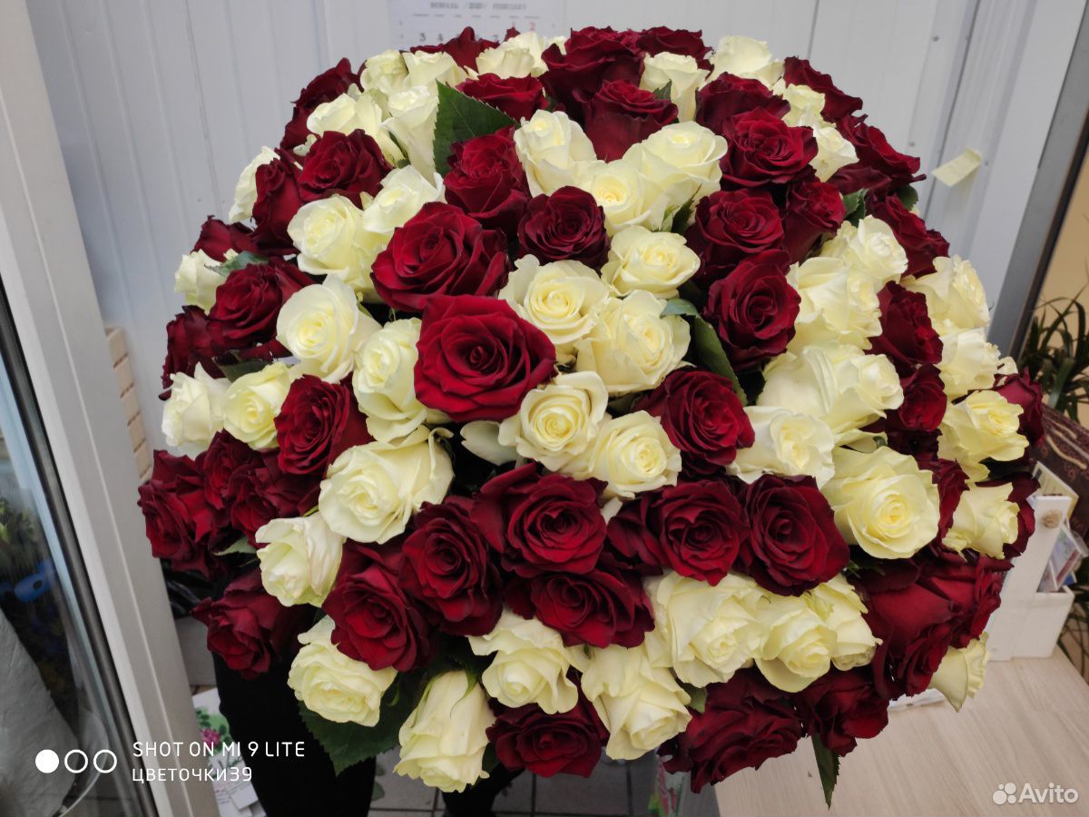Роза 101 шт. 60 (см) купить на Зозу.ру - фотография № 4