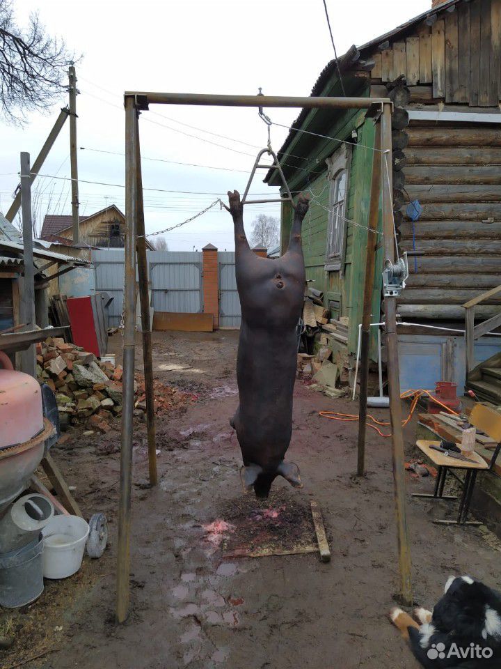 Тренога для разделки свиней купить на Зозу.ру - фотография № 5