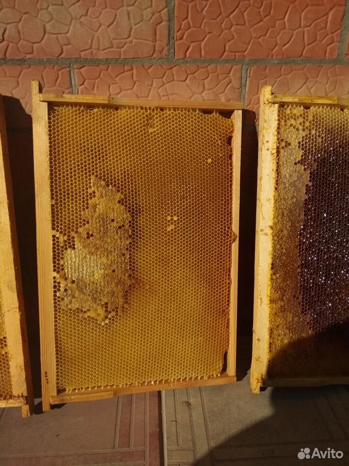 Продаю суш для пчёл купить на Зозу.ру - фотография № 3
