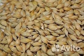 Мне Нужен ячмень пшеница купить на Зозу.ру - фотография № 1