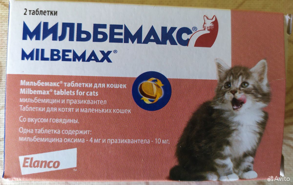 Мильбемакс - одна таблетка для котят купить на Зозу.ру - фотография № 1