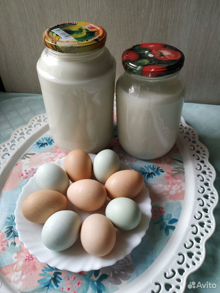 Бройлеры, утятина, крольчатина, мясо, молоко, яйца купить на Зозу.ру - фотография № 5