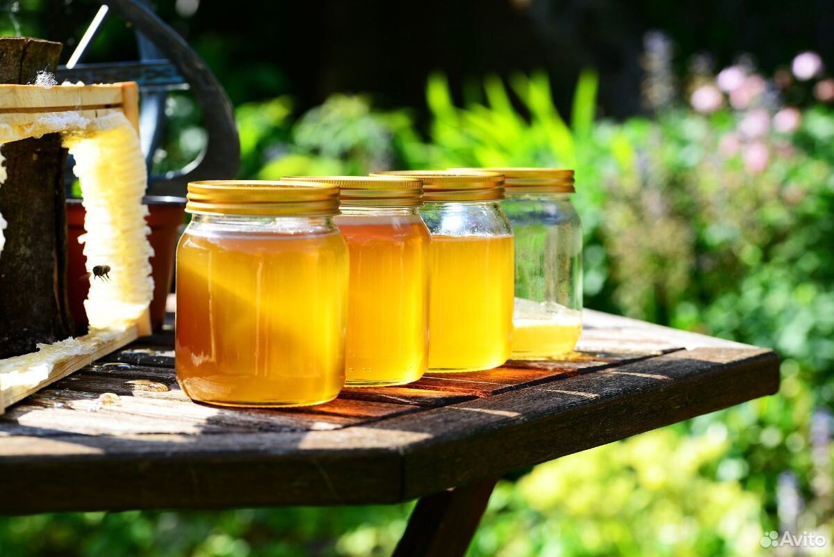 Продам мёд купить на Зозу.ру - фотография № 1