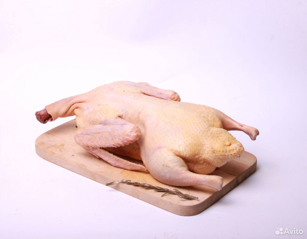 Свое домашнее мясо курицы, утки, гуся купить на Зозу.ру - фотография № 2