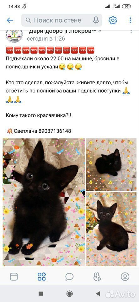 Кошка в беде купить на Зозу.ру - фотография № 2