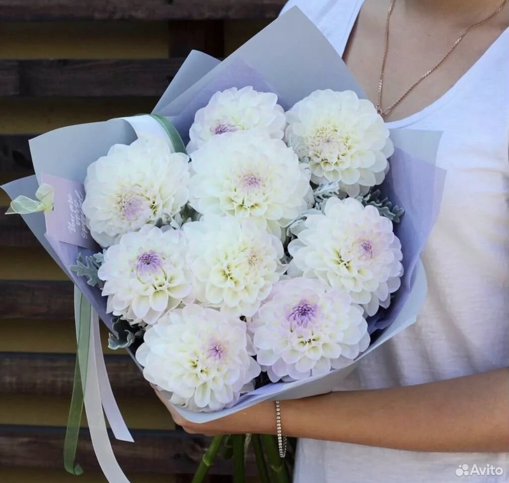 Букет из георгин,доставка цветов купить на Зозу.ру - фотография № 1