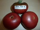 Семена томатов объявление продам