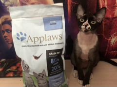 Продам корм для котят Applaws