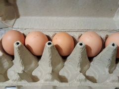 Яйцо инкубационное кур породы Билефельдер