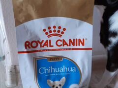 Новый Royal Canin Chihuahua до 8 мес