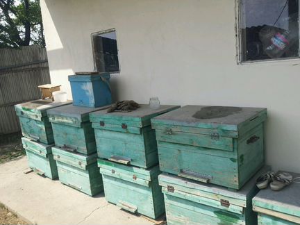 Пчело ящики 16 рамочные