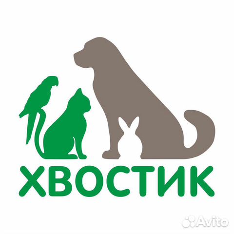 Зоомагазин Хвост Ижевск Интернет Магазин