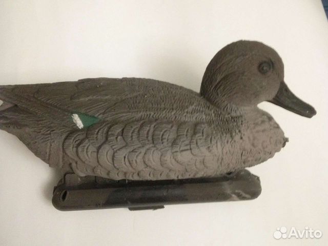 Утка подсадная