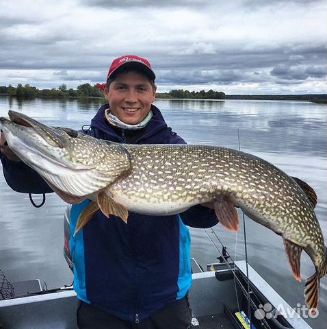 Рыбалка с гидом. Чебоксарское вдхр. Город нн