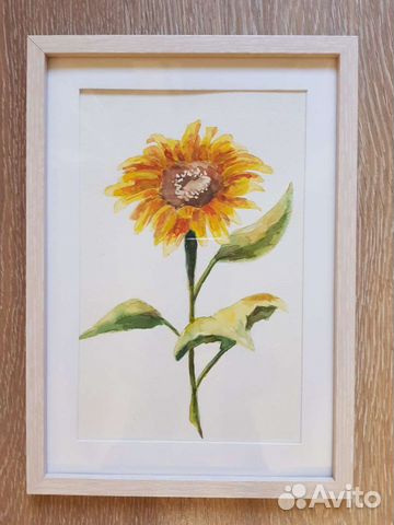 Картина. Акварель. Подсолнух. Цветы