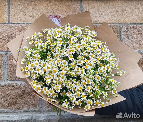 Букет из ромашек 11 21 31 41 51
