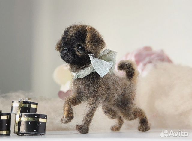 Миниатюрная собака гриффон