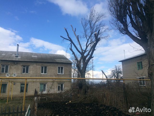 Спиливание деревьев. Воронеж и область Спиливание деревьев. Воронеж и область
