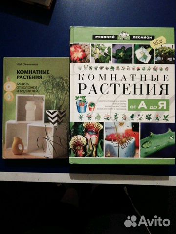 Комнатные растения каталог