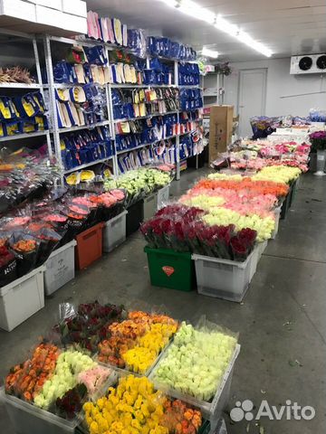 Букеты из Шикарных Роз Экстра Класса Элитные Сорта