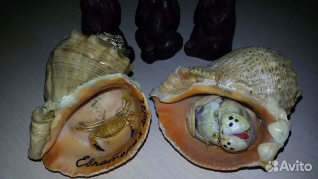 Ракушки с крабиком и собачкой Ракушки с крабиком и собачкой