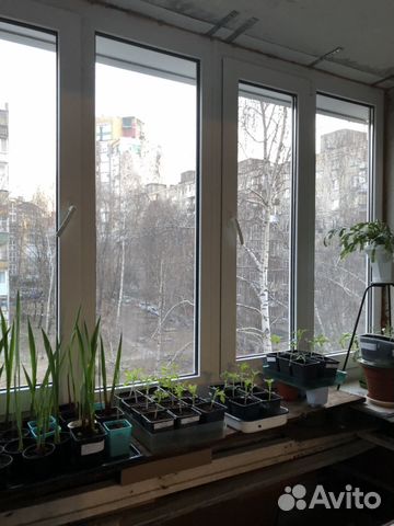 3-к квартира, 58 м², 5/9 эт. 3-к квартира, 58 м², 5/9 эт.