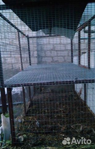 Удобные клетки для домашней птицы купить на Зозу.ру - фотография № 4