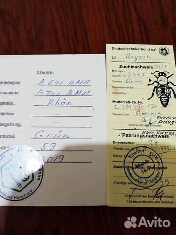 Пчеломатки карника, бакфаст купить на Зозу.ру - фотография № 1