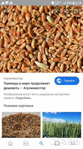 Пшеница 2 тонн купить на Зозу.ру - фотография № 1