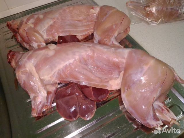 Продам мясо кроликов