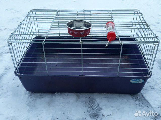 Клетка для кролика,есть поилка с кормушкой отдельн купить на Зозу.ру - фотография № 4
