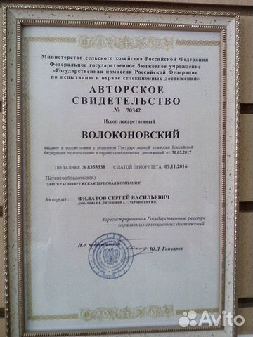 Семена медоноса Иссопа Лекарственного