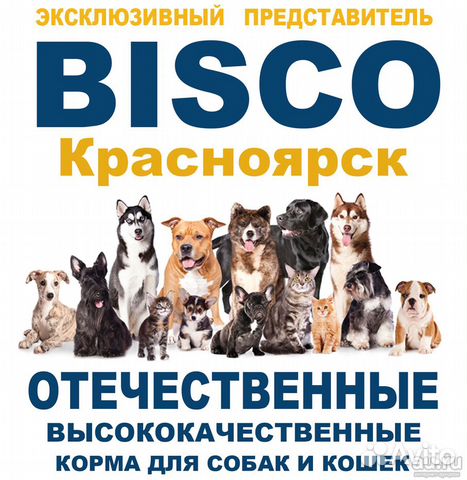 Сухой корм для собак Премиум класса, bisko 10кг купить на Зозу.ру - фотография № 6