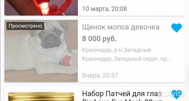 Продам щенка Мопса купить на Зозу.ру - фотография № 1