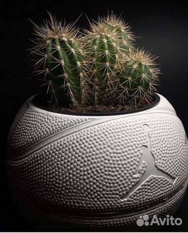 Кашпо мяч Jordan