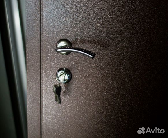 Дверь входная металлическая антивандальная за 24ч Дверь входная металлическая антивандальная за 24ч