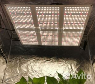 Фитолампа quantum board полный спектр 184 Вт