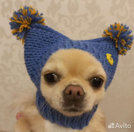 Шапка для собак