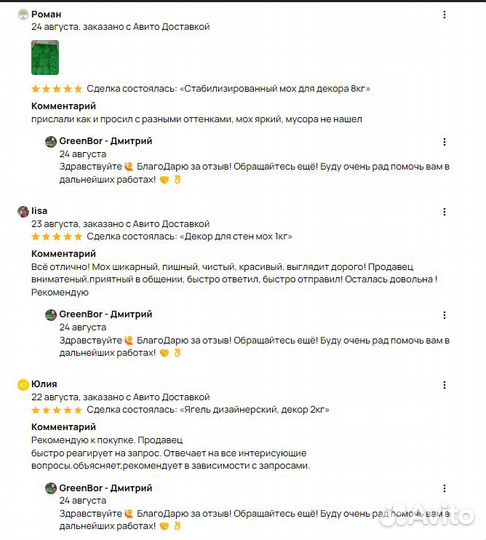 Вечно зеленый мох для интерьер кашпо панно декор