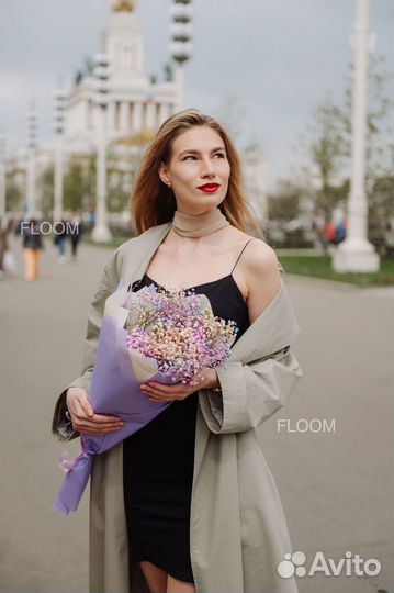 Радужная гипсофила