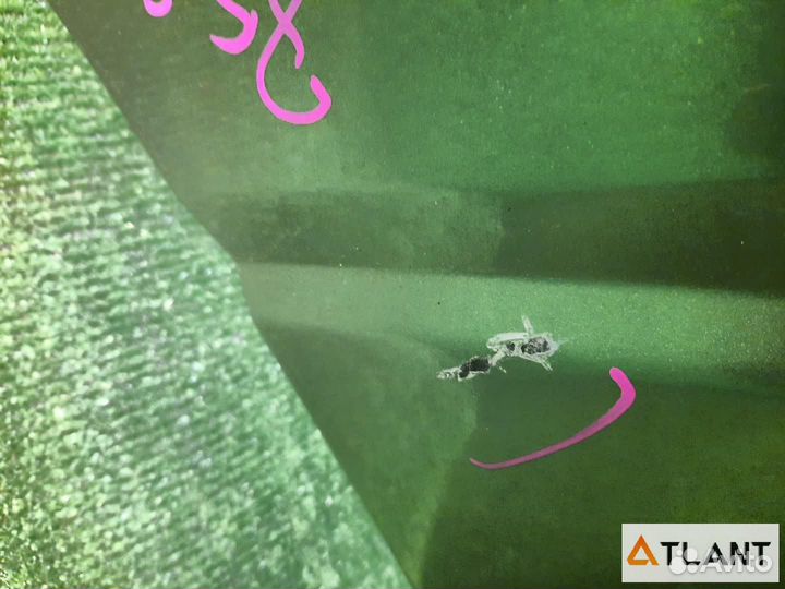 Бампер передний toyota granvia