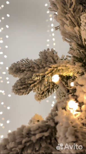 Ель заснеженная 