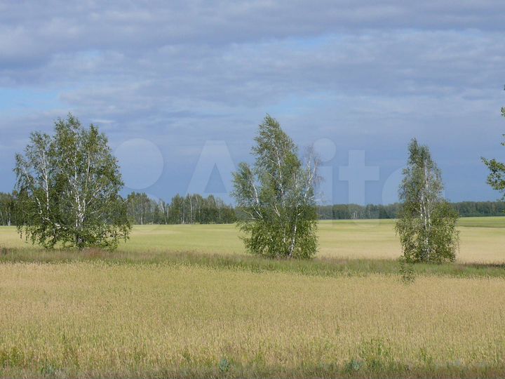 Участок 1,75 га (СНТ, ДНП)