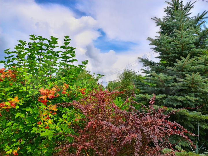 Дача 32 м² на участке 5 сот.