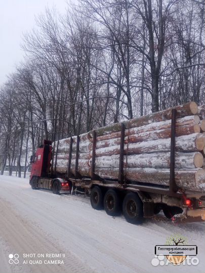 Лес кругляк для Строительства