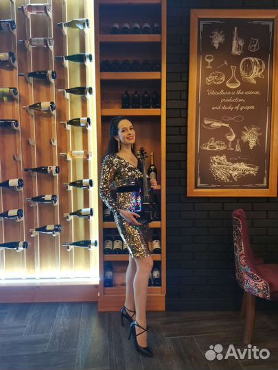 Живая музыка / скрипка