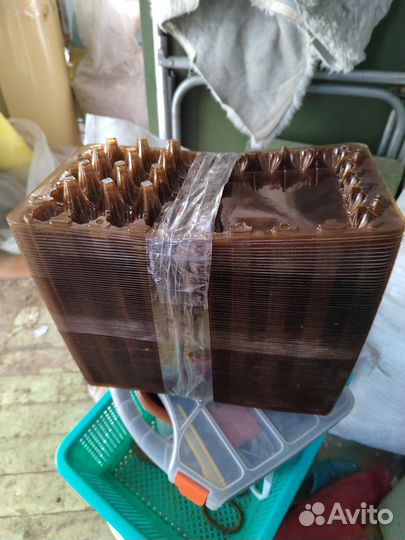 Лоток для перепелиных яиц