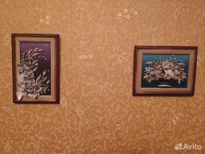Ракушки для аквариума